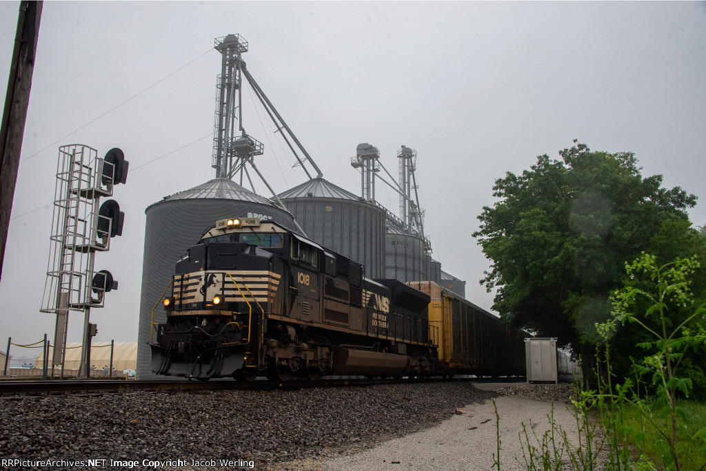 NS 1018